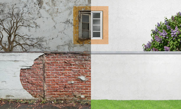 Mold Remediation for Rental Properties in Yosemite Valley, CA